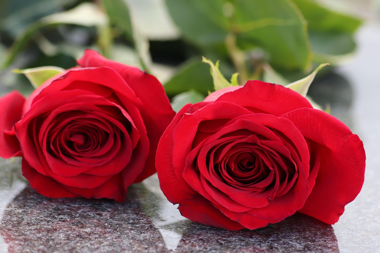 Zwei rote Rosen auf einem Grabstein